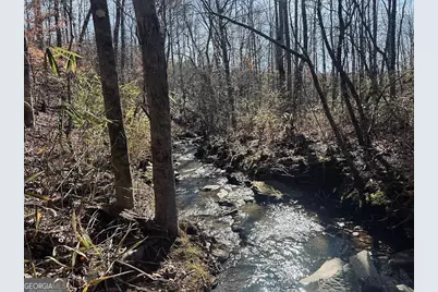 0 Old Highway 431 #TRACT 1, Wedowee, AL 36278 - Photo 1