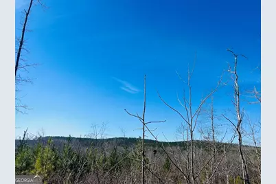 0 Old Highway 431 #TRACT 1, Wedowee, AL 36278 - Photo 2