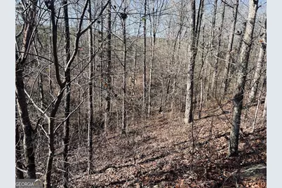 0 Old Highway 431 #TRACT 1, Wedowee, AL 36278 - Photo 8