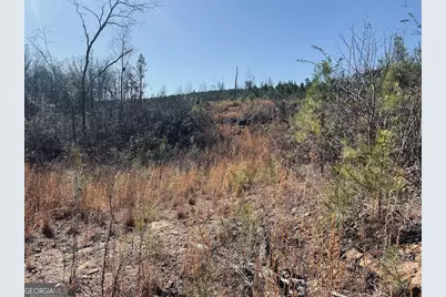 0 Old Highway 431 #TRACT 1, Wedowee, AL 36278 - Photo 24