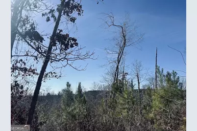 0 Old Highway 431 #TRACT 1, Wedowee, AL 36278 - Photo 4