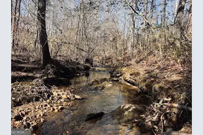 0 Old Highway 431 #TRACT 1, Wedowee, AL 36278 - Photo 10