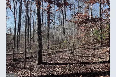 0 Old Highway 431 #TRACT 1, Wedowee, AL 36278 - Photo 16