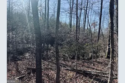 0 Old Highway 431 #TRACT 1, Wedowee, AL 36278 - Photo 18