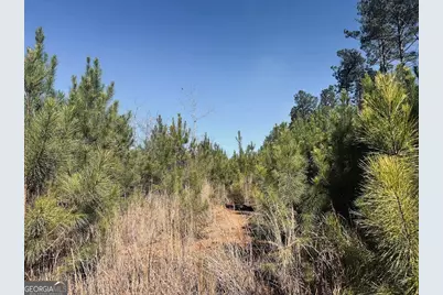 0 Old Highway 431 #TRACT 1, Wedowee, AL 36278 - Photo 28