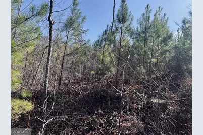 0 Old Highway 431 #TRACT 1, Wedowee, AL 36278 - Photo 20
