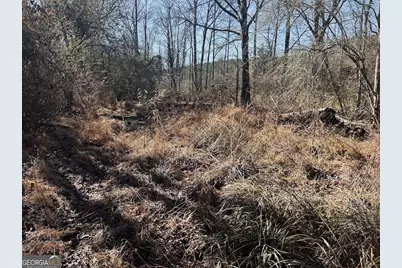 0 Old Highway 431 #TRACT 1, Wedowee, AL 36278 - Photo 22