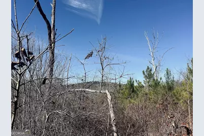 0 Old Highway 431 #TRACT 1, Wedowee, AL 36278 - Photo 6