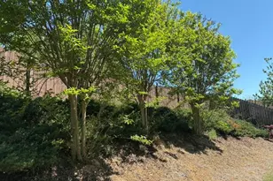 5332 Barberry Ave, Oakwood, GA 30566 - Photo 12