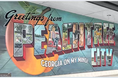 901 Mickleton Lane, Peachtree City, GA 30269 - Photo 114