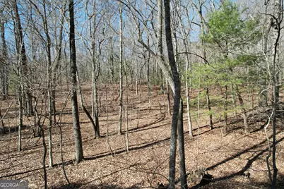 0 Curtis Switch Road, Mineral Bluff, GA 30559 - Photo 10