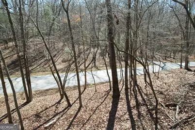 0 Curtis Switch Road, Mineral Bluff, GA 30559 - Photo 4