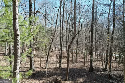 0 Curtis Switch Road, Mineral Bluff, GA 30559 - Photo 12