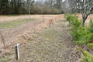 1900 Ga Hwy 27, Vienna, GA 31092 - Photo 52