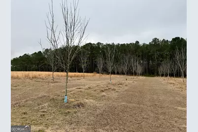 1900 Ga Highway 27, Vienna, GA 31092 - Photo 48