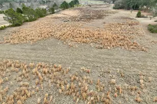 1900 Ga Hwy 27, Vienna, GA 31092 - Photo 18