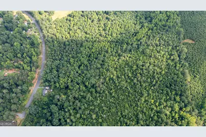 0 Roosevelt Highway, Warm Springs, GA 31830 - Photo 12