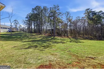 238 Carl Loudermilk Road, Mount Airy, GA 30563 - Photo 26