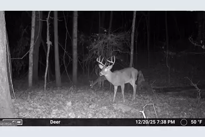 733 Cherry Road, Franklin, GA 30217 - Photo 66