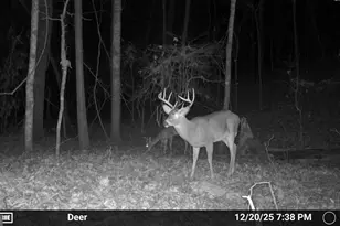 733 Cherry Rd, Franklin, GA 30217 - Photo 66