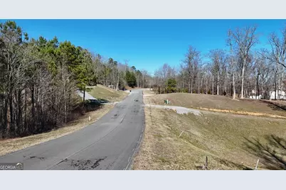 0 Lookout Mountain Drive #TRACT 232, Scottsboro, AL 35769 - Photo 10