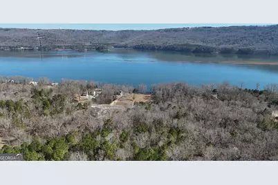 0 Lookout Mountain Drive #TRACT 232, Scottsboro, AL 35769 - Photo 16