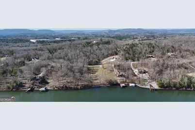 0 Lookout Mountain Drive #TRACT 232, Scottsboro, AL 35769 - Photo 4