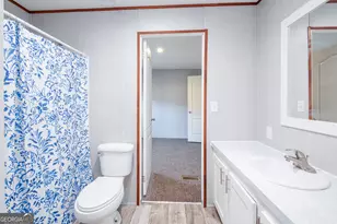 424 L B Hall Rd, Garfield, GA 30425 - Photo 18