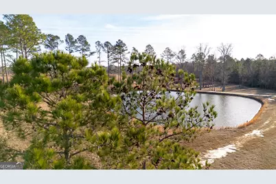 2128 Bay Springs Road, Adrian, GA 31002 - Photo 18