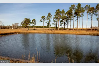 2128 Bay Springs Road, Adrian, GA 31002 - Photo 2