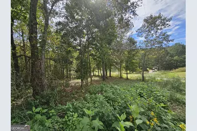 42 Lookout Point, Toccoa, GA 30577 - Photo 12