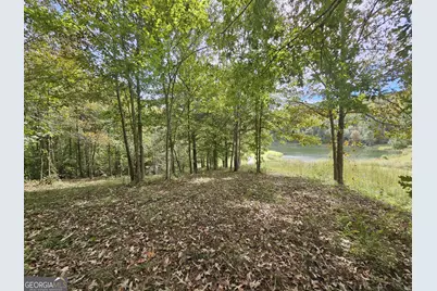 42 Lookout Point, Toccoa, GA 30577 - Photo 14