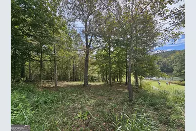 42 Lookout Point, Toccoa, GA 30577 - Photo 1