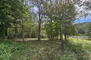 42 Lookout Pt, Toccoa, GA 30577 - Photo 1