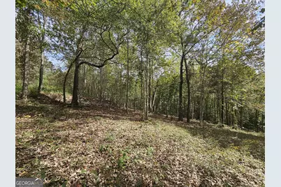 42 Lookout Point, Toccoa, GA 30577 - Photo 18