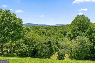 171 Big Vly Dr, Morganton, GA 30560 - Photo 56