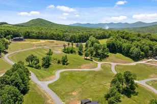 171 Big Vly Dr, Morganton, GA 30560 - Photo 54