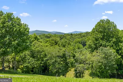 171 Big Valley Drive, Morganton, GA 30560 - Photo 20