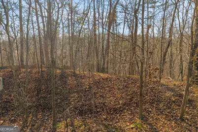 0 Planters Creek, Baldwin, GA 30511 - Photo 8