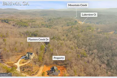 0 Planters Creek, Baldwin, GA 30511 - Photo 4