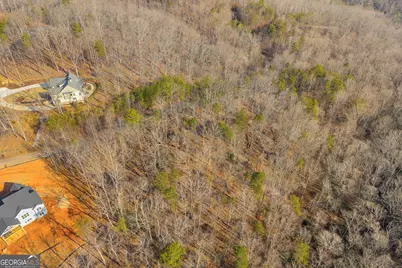 0 Planters Creek, Baldwin, GA 30511 - Photo 6