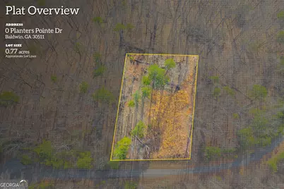 0 Planters Pointe Drive, Baldwin, GA 30511 - Photo 2