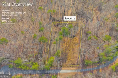 0 Planters Pointe Drive, Baldwin, GA 30511 - Photo 4