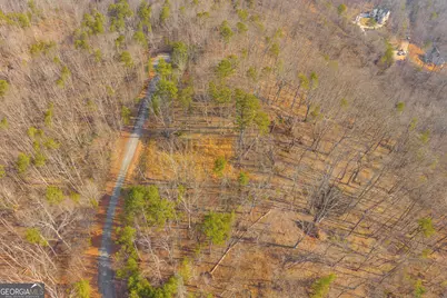 0 Planters Pointe Drive, Baldwin, GA 30511 - Photo 6