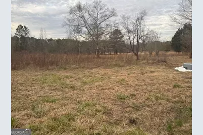 161 Yancy Road, Milner, GA 30257 - Photo 4