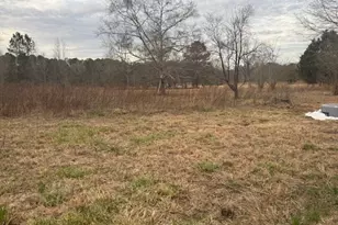 161 Yancy Rd, Milner, GA 30257 - Photo 4