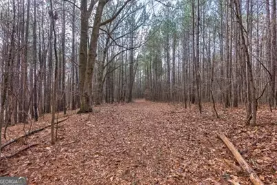 000 Double Bridges Rd., Madison, GA 30650 - Photo 8