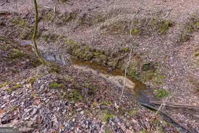 000 Double Bridges Rd., Madison, GA 30650 - Photo 10