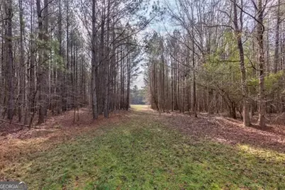 000 Double Bridges Rd., Madison, GA 30650 - Photo 4