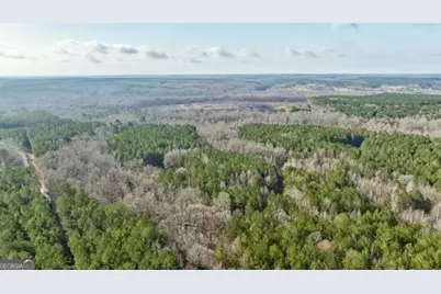 000 Double Bridges Rd., Madison, GA 30650 - Photo 16